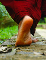 Aramaya